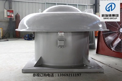 �S������L�C���D��