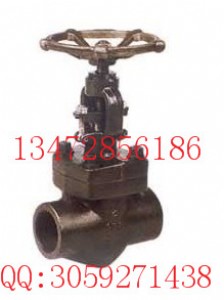 800lb�䓽�ֹ�y