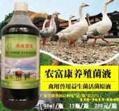 �����������������������