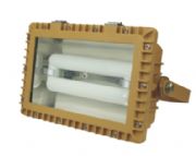 sbd3109  ���������