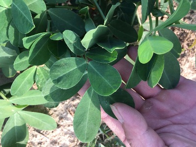 ������������������˥