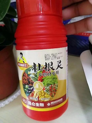 ̫�Ӆ��Ѹ��`