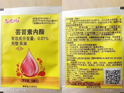 28���|̦�؃�֬�ٸ����籣��������߿�������