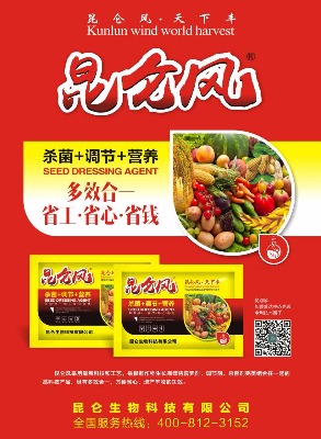 �����L���a�ײ͏V�V��