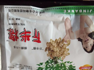 �����������п��������~����˥��