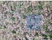 �ؙ��䌣�I(y��)����(y��ng)�̣��G����ľ�r�����