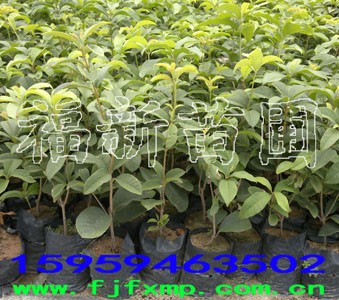 �������� ����r�� �𻨘�Nֲ