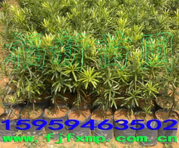 �_�h�������l(f��) �_�h����r(ji��)�� �����_�h���� �_(t��i)���_�h����