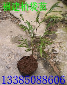 �����ش��� �������� �����طN�� ������