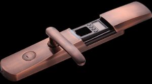 ָ�y�i��ָ�y�R�eϵ�y