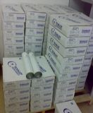 ����̩���_������