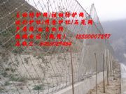 �����ݱ��ӷ��o�W�S�ң����Է��o�W���̓r���l���|����