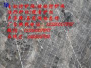 ������ӷ��o�W|����gps2���ӷ��o�W�S�ң����Է��o��