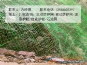 ���ӾW-�F���F����ӷ��o�W-���ԾW�S��