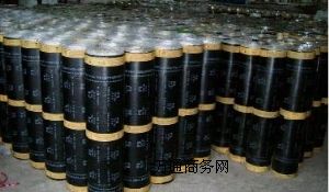 �ĳ��͸��gʥ����SBS��ˮ����