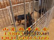 ������u������Ȯ�Ć�|����Ȯ�r��(�D)