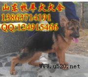 �Ϻ����u������Ȯ�Ć�|����Ȯ�r��(�D)