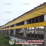 ɽ�|�i��������ɽ�|�i���������a�S�����������ӹ�TD2X2-1