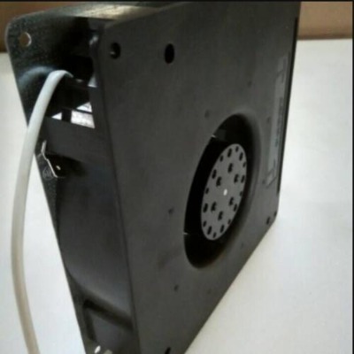 rg125-19/14nebmpapstֱ���L��