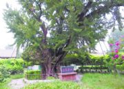 ���ݗ��ֹ�ˇƷ�S�Ҍ��T���Ʒ���ˮ���Ř�