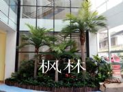 ���ַ���С�辰