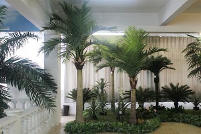 ���ϗ��֏S�Ҷ���ֱ�N�҃�(n��i)�ⲣ���Ҭ�Ә�ˮ�Ϙ��@���خa(ch��n)�[�žGֲ