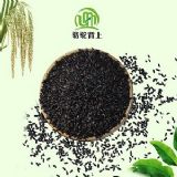 ����s�Z�����������