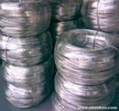 �������X�z  �߼��X�z