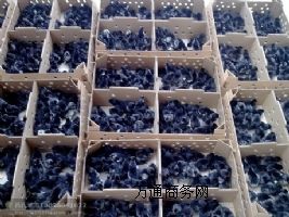 �G�����u��