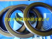 TB�͹Ǽ��ͷ�|�������ǹ���