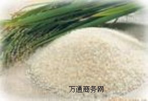 �M�������㾫