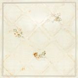 �߶˶��Ƽ��ɵ�� ����ˇ�g��� ���ɵ�������л�