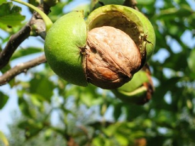 ���T�Ϻ��������r����|��Ƥ�������l���_ʼ����