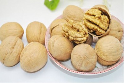 ���T�Ϻ��������r���ҁ�����02