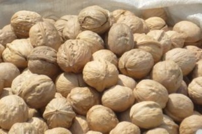 ���T�Ϻ�����������Ɍ���һ����r����02