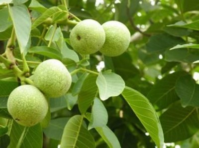 ���T�Ϻ���������Ƥ�����������l����02