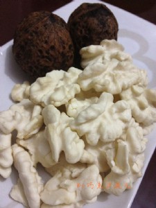 ���T�Ϻ������������ُ|�r���������� 06