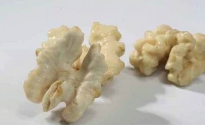 06���T�Ϻ���������Ƥ�������l��06