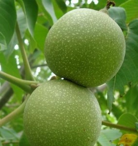 ���T�Ϻ��������r���Һ͸ɺ��ҵą^�e6