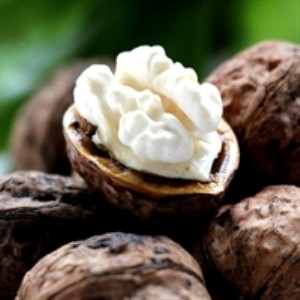 ���T�Ϻ��������r����ʲô�r�g��|�������l02