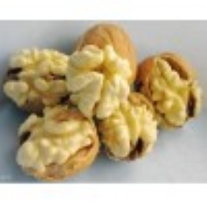 �T�Ϻ�����ȫ����������ļ��