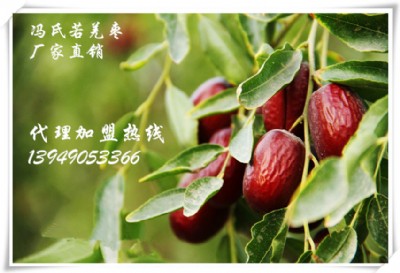 �T����Ǽ�җ�ȫ����������ļ����M���С�����