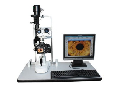 ��϶�����ֻ�����ϵ�y