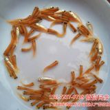 ����~�����l(f��)��z���~������S�����~�����l(f��)