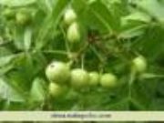 ���������� ���������l ������r��(�D)