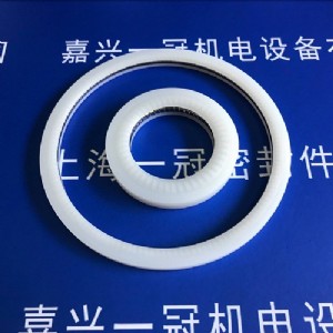 耐超低溫旋轉(zhuǎn)臂蓄能密封圈 德國(guó)進(jìn)口超高分子o型彈簧密封件