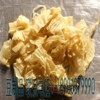 ���� ��Ƥ ������ ������