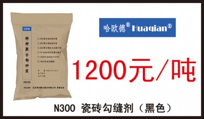 N300�ɴu���p������ɫ��