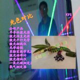 �C���C�t�⾀Ͷ���x