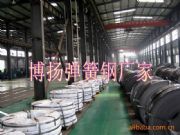 65Si2MnWA��̎�폗��䓎�